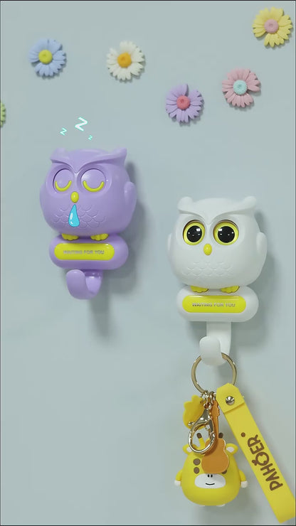 Magnetic Owl Key Holder, Automatic Open Close Eyes,